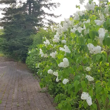 Appartement Charmante Einliegerwohnung *
