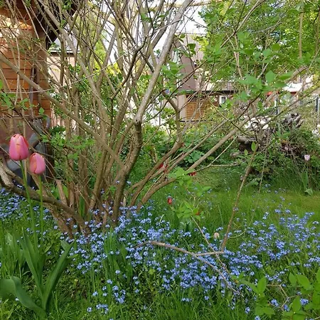Charmante Einliegerwohnung *
